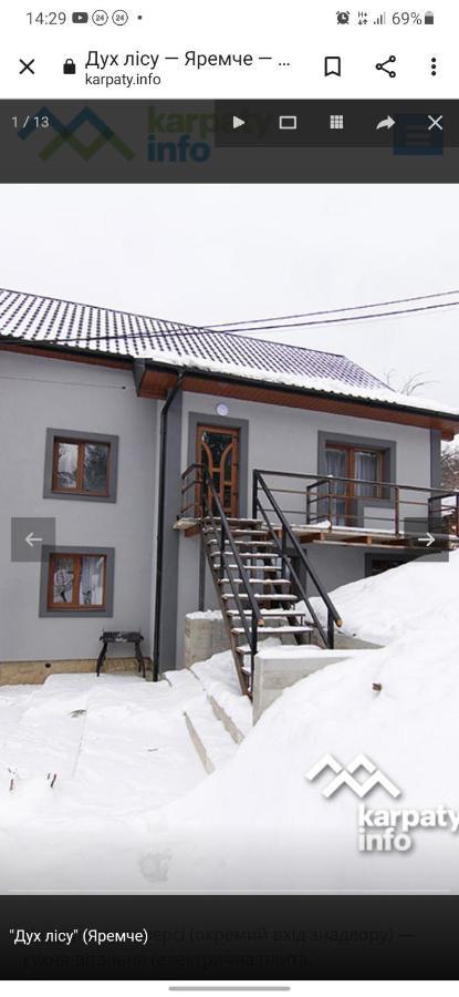 Дух Лісу Villa Yaremche Luaran gambar