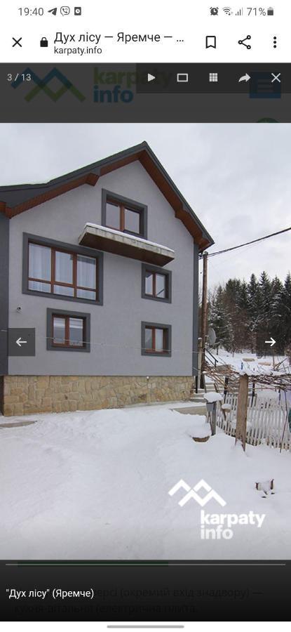Дух Лісу Villa Yaremche Luaran gambar